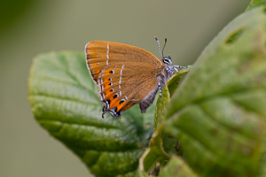 © Oliver Smart © Oliver Smart